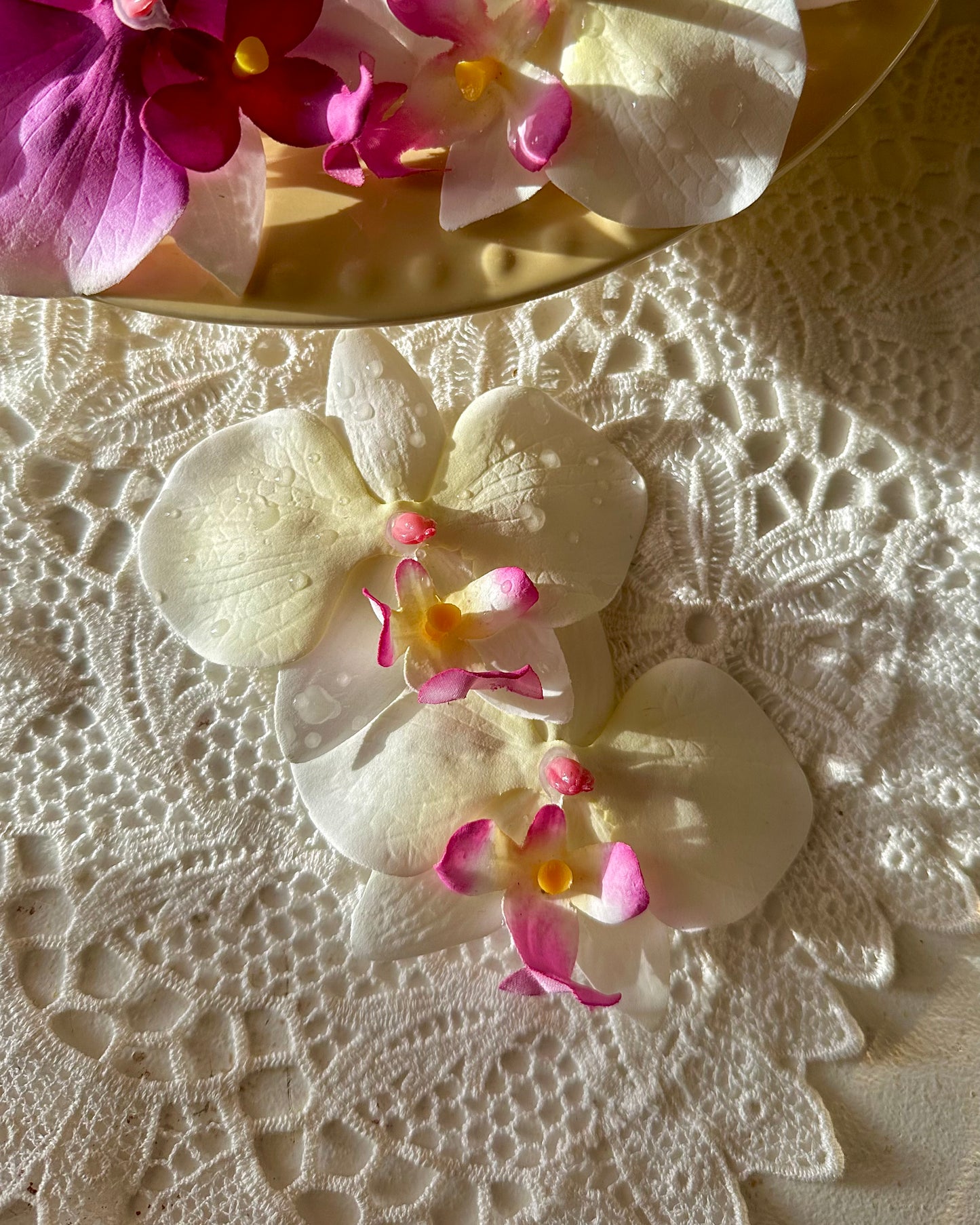 Orquídea Blanca Clip