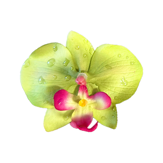 Orquídea Verde Clip