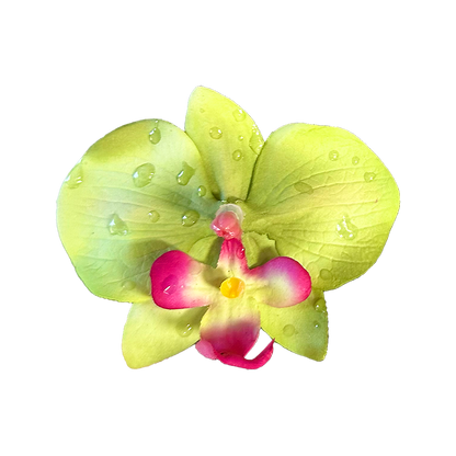 Orquídea Verde Clip