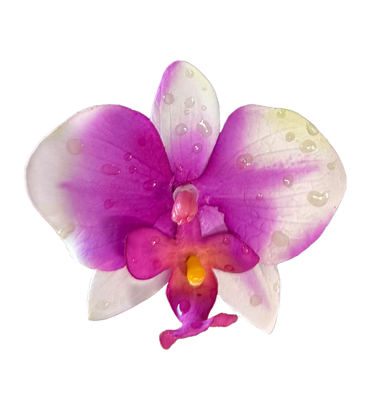 Orquídea Morada Clip