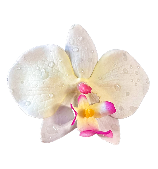 Orquídea Blanca Clip